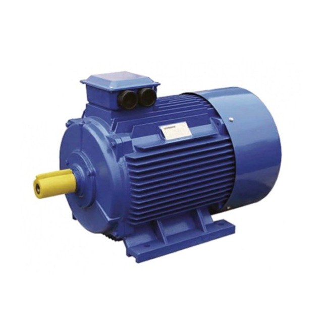 Электродвигатель VILMANN Z 225M-6 30 кВт 1000 об/мин Электродвигатель VILMANN Z 225M-6 30 кВт 1000 об/мин